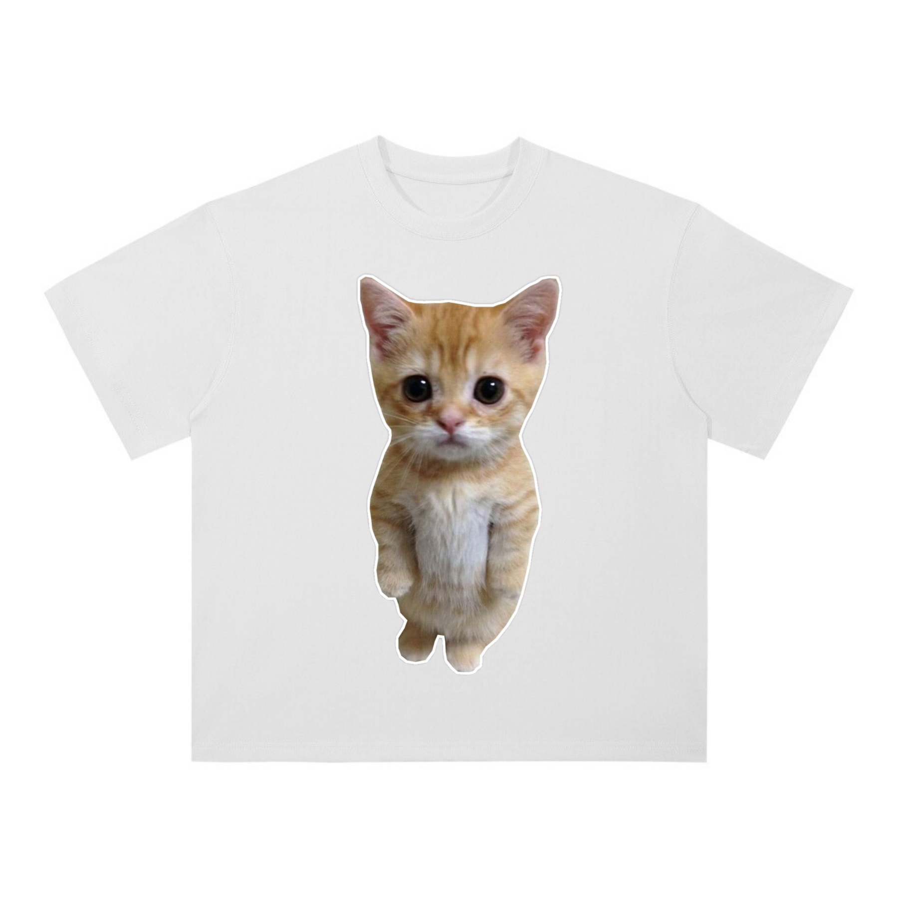 Cat shirt