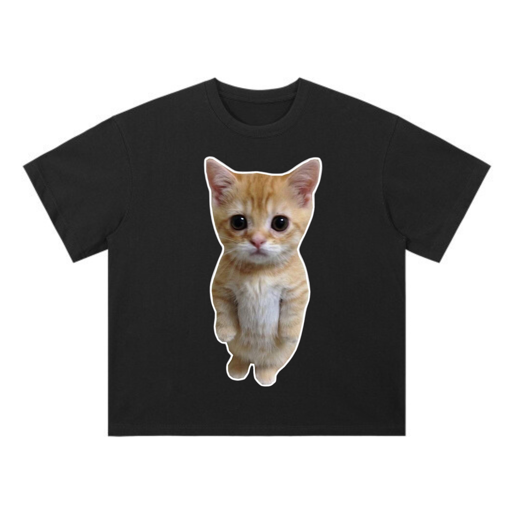 Cat shirt